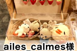 【ailes_calmes様】