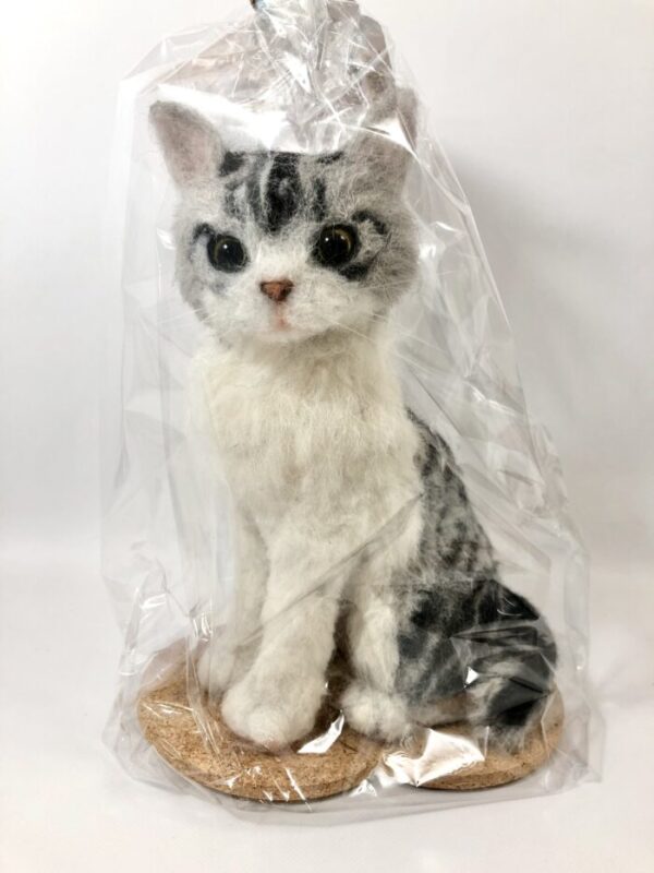 yyk 31 観賞用猫(サバトラ)