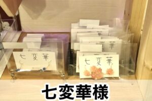 【七変華様】