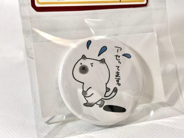 pny 3 小缶バッジ