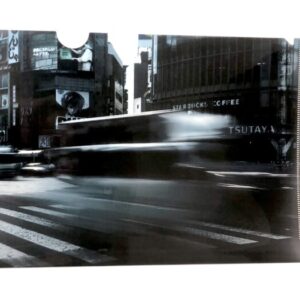 rik 9 クリアファイル(瞬京)