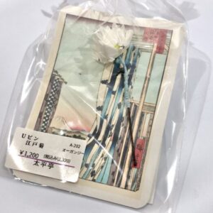 tai 202 Uピン江戸菊