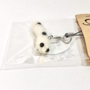 gns 26 チンアナゴ