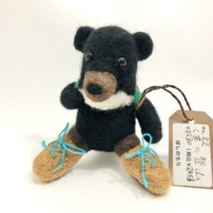 hsn 22 くまの登山