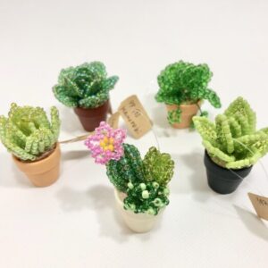 kmr 268 ビーズ多肉植物