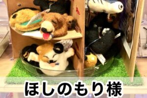 【ほしのもり様】